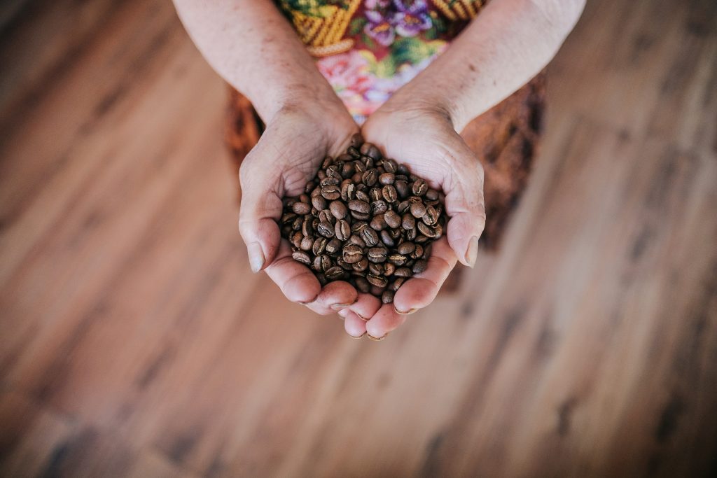 Grow my own coffee bean at home